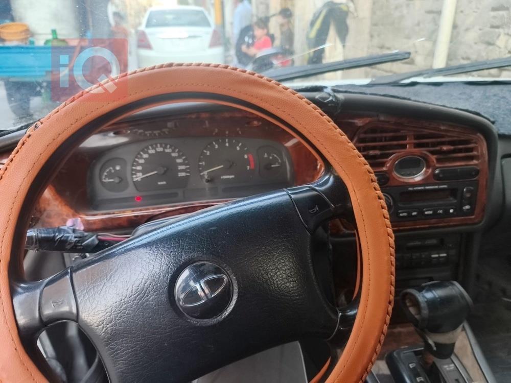 دايو برنس